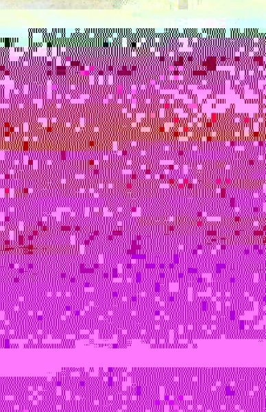 Realist Vision (eBook, PDF) Realist Vision (eBook, PDF)