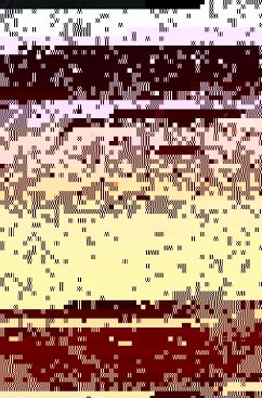 Cover The Crafty Reader (eBook, PDF)