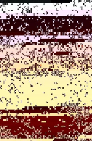 The Crafty Reader (eBook, PDF)