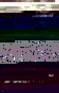 Cover The Chattel Principle (eBook, PDF)