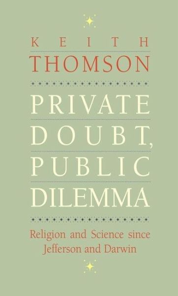 Private Doubt, Public Dilemma (eBook, PDF)