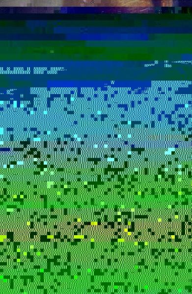 A Bishop's Tale (eBook, PDF) A Bishop's Tale (eBook, PDF)