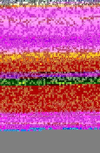 Contesting Development (eBook, PDF) Contesting Development (eBook, PDF)