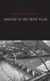 Genocide on the Drina River (eBook, PDF)