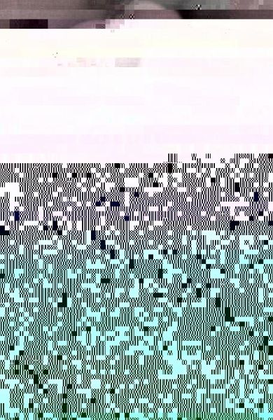 Parenting Stress (eBook, PDF)