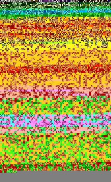 The International Novel (eBook, PDF)