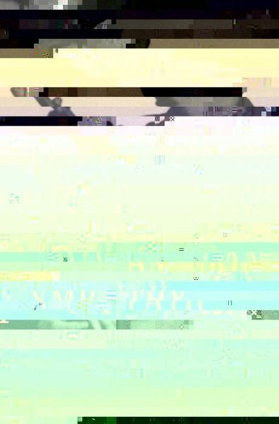 American Sympathy (eBook, PDF) American Sympathy (eBook, PDF)