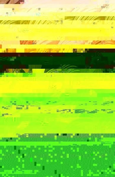 Solovki (eBook, PDF) Solovki (eBook, PDF)