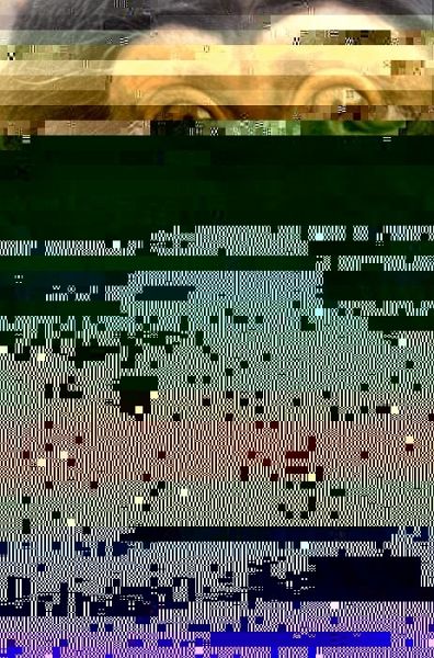 Intelligence of Apes and Other Rational Beings (eBook, PDF)