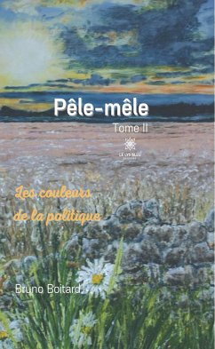 Pêle-mêle - Tome II (eBook, ePUB) - Boitard, Bruno