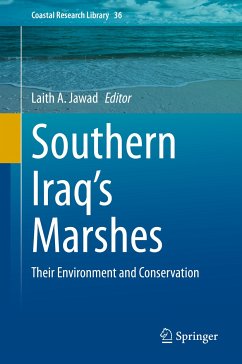 Southern Iraq's Marshes (eBook, PDF)