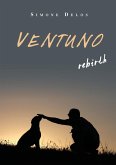 Ventuno rebirth