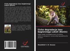 Cicha degradacja lasu bagiennego Lokoli (Benin) - Sessou, Houédoté C. B.