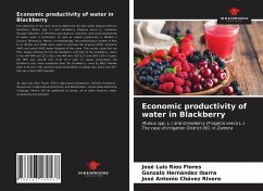 Economic productivity of water in Blackberry - Ríos Flores, José Luis; Hernández Ibarra, Gonzalo; Chávez Rivero, José Antonio