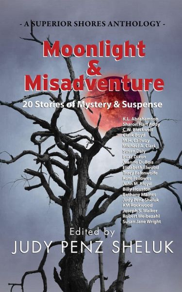Moonlight & Misadventure: 20 Stories of Mystery & Suspense (A Superior Shores Anthology, #3) (eBook, ePUB) Moonlight & Misadventure: 20 Stories of Mystery & Suspense (A Superior Shores Anthology, #3) (eBook, ePUB)