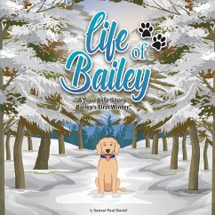 Life of Bailey - David, Sensei Paul