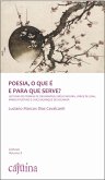 Poesia, o que é e para que serve? (eBook, ePUB)
