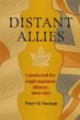 Distant Allies - Bild 1