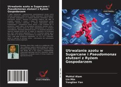 Utrwalanie azotu w Sugarcane i Pseudomonas stutzeri z Ry¿em Gospodarzem - Alam, Mohiul; Min, Lin; Yan, Yonglian