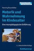 Motorik und Wahrnehmung im Kindesalter (eBook, ePUB)