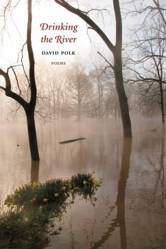 Drinking the River - Polk, David