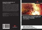 Forest Fire Catastrophe of Pedrógão Grande