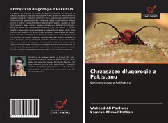 Chrz¿szcze d¿ugorogie z Pakistanu - Panhwar, Waheed Ali; Pathan, Kamran Ahmed