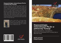 Depozytologia mineralizacji Pb-Zn w pó¿nocnej Tunezji - Jemmali, Nejib; Souissi, Fouad