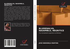BLUMENALVA, NAUEMBLU, NEGRITICE - Martins, José Endoença