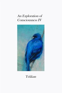 An Exploration of Consciousness IV - Tekkan