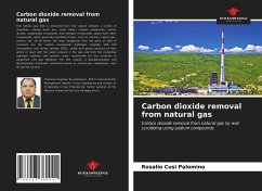 Carbon dioxide removal from natural gas - Cusi Palomino, Rosalio