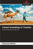 Camel breeding in Tunisia