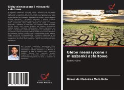 Gleby nienasycone i mieszanki asfaltowe - de Medeiros Melo Neto, Osires