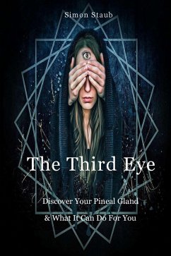 The Third Eye (eBook, ePUB) - Staub, Simon