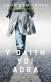 Y Daith ydi Adra (eBook, ePUB)