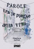 Parole tra le pieghe della vita (eBook, ePUB)