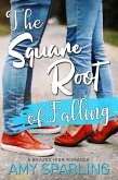 The Square Root of Falling (Brazos High, #1) (eBook, ePUB)