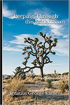 Cover Peeping through the Millennium (eBook, ePUB)