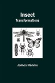 Insect Transformations