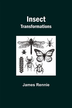 Insect Transformations - Rennie, James