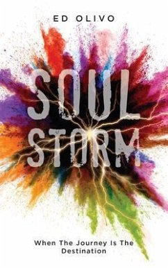 Cover SoulStorm (eBook, ePUB)