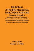 Illustrations Of The Birds Of California, Texas, Oregon, British And Russian America.