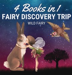 Fairy Discovery Trip - Fairy, Wild