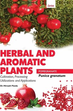 HERBAL AND AROMATIC PLANTS - Punica granatum (POMEGRANATE) - Panda, Himadri