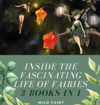 Inside the Fascinating Life of Fairies