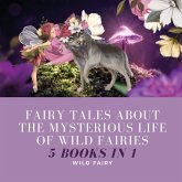 Fairy Tales About the Mysterious Life of Wild Fairies