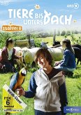 Tiere bis unters Dach - Staffel 8