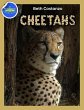 Cheetah Activity Workbook ages 4-8... - Bild 1