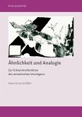 Ähnlichkeit und Analogie (eBook, PDF)
