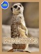 Meerkat Activity Workbook for Kids ages... - Bild 1